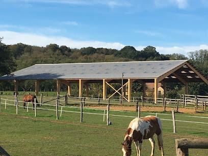 Ecurie Blessed stables, Pension pour Chevaux à Savigné-l'Évêque
