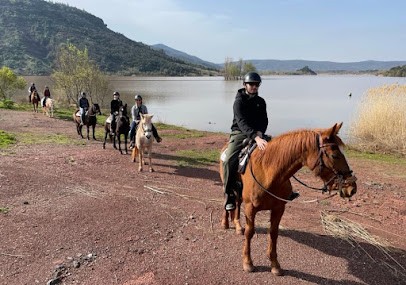 L'Attrape Rêves - Centre équestre - Pension - le Salagou, Centre Equestres au Puech