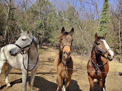 Equit'à Courmes, Centre Equestres à Courmes