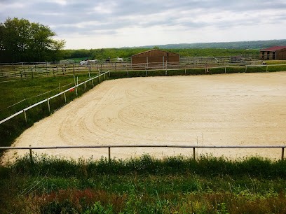 Écuries Vent d'Autan, Pension pour Chevaux à Montaigut-sur-Save