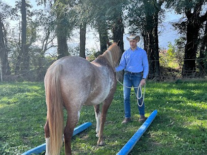 Domaine De Thor, Centre Equestres à Péron