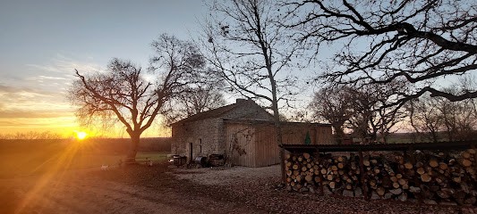 GAEC Du Gascou, Pension pour Chevaux à Lalbenque