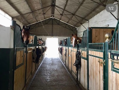 Écurie Corentin Guillou, Centre Equestres à Graveson