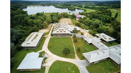 Pony Club - Leisure Island Vaires-Torcy, Centre Equestres à Torcy