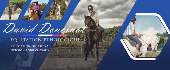 Doucinot David, Pension pour Chevaux à Boisse