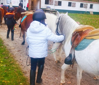 Stud De La Jonchère, Centre Equestres à Lésigny