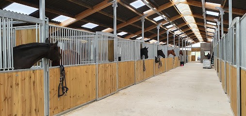 Ecuries de Chaume, Pension pour Chevaux à Frolois