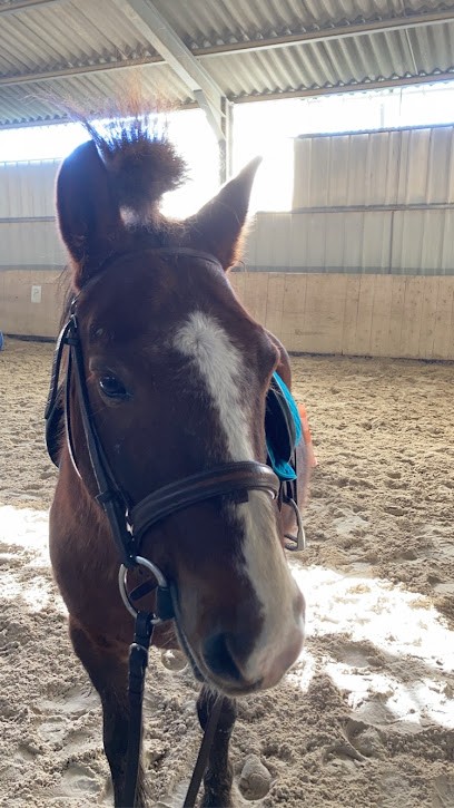 Pony Club De Richemont, Centre Equestres à Villette-sur-Ain