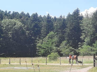 Ecurie Du Climont, Centre Equestres à Urbeis
