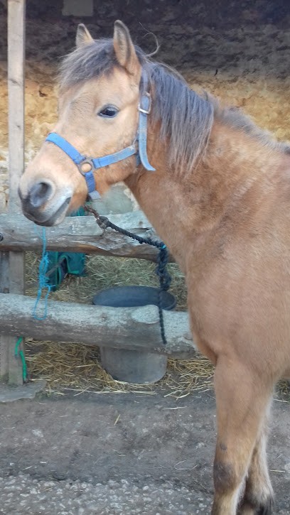 Stables Des Chartres, Centre Equestres à Pons