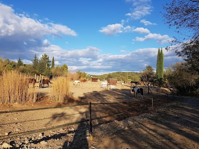 Les écuries de Maha, Centre Equestres à Murviel-lès-Montpellier