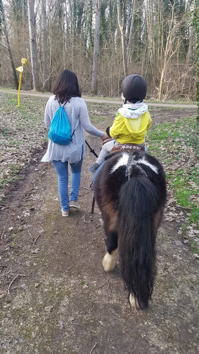 Poney Club De L'île De Loisirs D'Etampes, Centre Equestres à Étampes