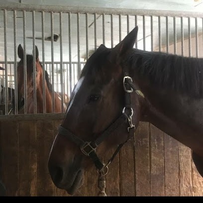 Scea Ecurie Trophy, Centre Equestres à Lutter