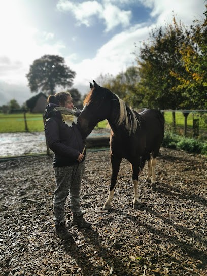 Sur le Chemin des Sabots, Centre Equestres à Mézières-sur-Couesnon