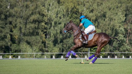 TD POLO TEAM, Centre Equestres à Saint-Gatien-des-Bois