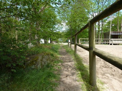 Equestrian Club Du Petit Tertre, Centre Equestres à Soisy-sur-École