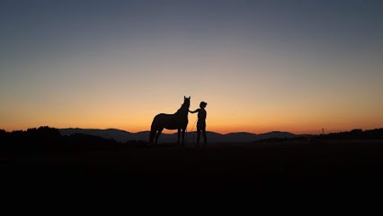 Farm Equestre De La Colline, Centre Equestres à Saint-Romain-de-Surieu