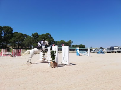 Les Ecuries De La Gesmeray, Pension pour Chevaux à Vendres