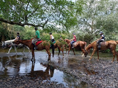 LE RANCH EXOTIQUE, Centre Equestres à Messey-sur-Grosne