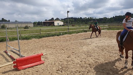 Les Ecuries Du Courchamp, Pension pour Chevaux à Saint-Sériès