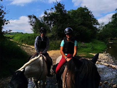 LE PALAIS DU PONEY, Centre Equestres à Tersanne