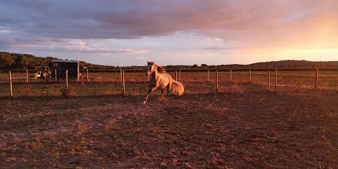 Les Etriers De Boissières, Pension pour Chevaux à Boissières