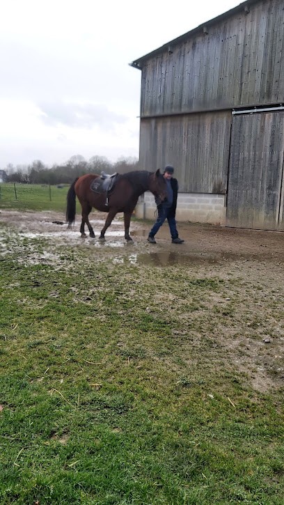 Equestrian Center Les Apo, Centre Equestres à Bernay