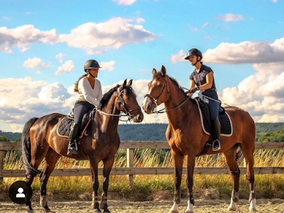 Stables De Biercy Les, Pension pour Chevaux à Saint-Cyr-sur-Morin