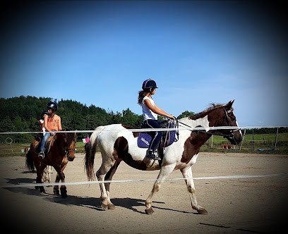 Les Ecuries de la Licorne, Centre Equestres à Saint-Romain-d'Urfé
