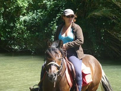 Jessie Equitation, Centre Equestres à Escales