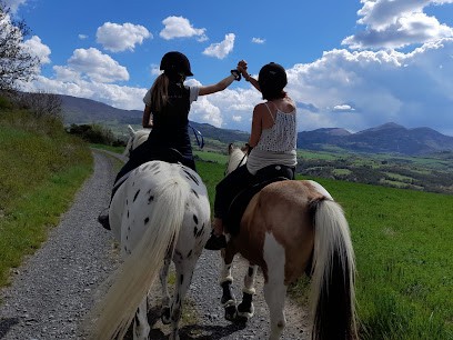 Ecurie Les Pies Du Sud, Centre Equestres à Rochebrune