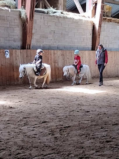 Ecurie De La Loue, Centre Equestres à Flagey