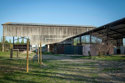 La ferme d'Auguste, Pension pour Chevaux au Thor