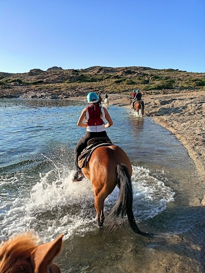 Arbo Valley, Centre Equestres à Monticello