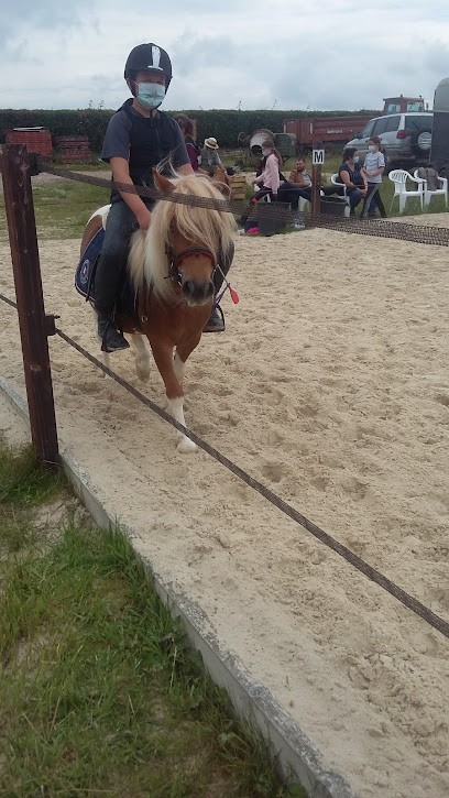 Le Shet D'arlange, Centre Equestres à Saint-Mars-Vieux-Maisons