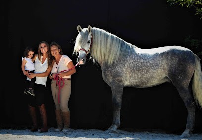 Sci Equiberique, Pension pour Chevaux à Montreux-Jeune
