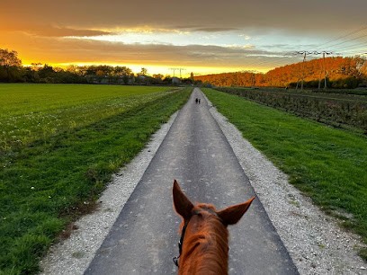 La Ferme des Noyers - Ecurie de propriétaires et de concours, Centre Equestres à Saint-Germain-en-Laye