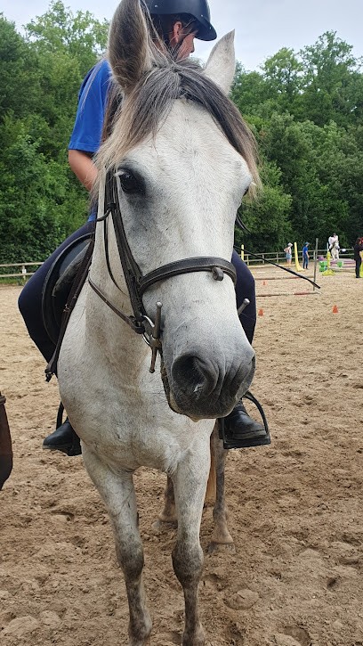 Écurie De L'Orée Du Bois, Centre Equestres à Boinvilliers
