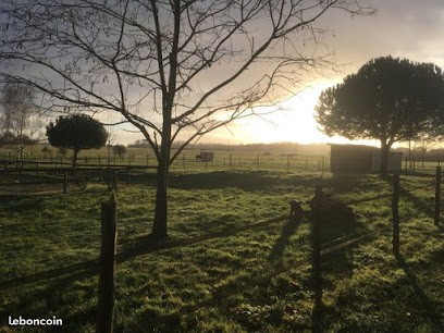 Ecurie Laurent Gascoin, Pension pour Chevaux à La Chapelle-Saint-Laud
