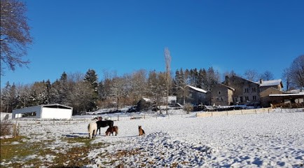 La Ferme Du Petit Galop, Centre Equestres à Raddon-et-Chapendu