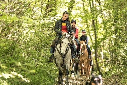 Gite Equestrian Ranch Du Bel Air, Centre Equestres à Labretonie