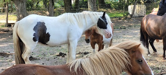 Le Landreau Equitation, Centre Equestres à Saint-Philbert-de-Grand-Lieu