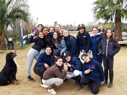 Pony Club Of St. John, Centre Equestres à Saint-Jean-de-Védas