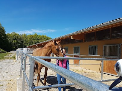 Ecuries 74 Du Bois Blanc, Pension pour Chevaux à Feigères