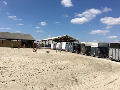 Le Ranch De La Vache Bleue, Pension pour Chevaux à Anhiers
