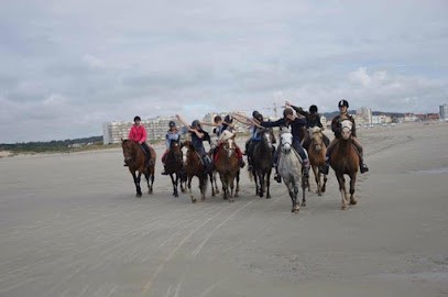 Stables Des Parpaillots, Centre Equestres à Nesles