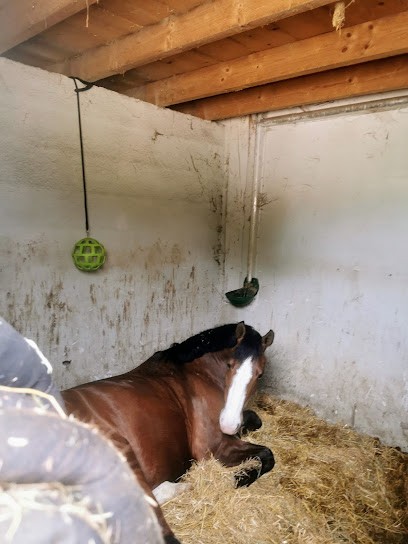 Ecurie de L'abbaye, Centre Equestres à Villette-d'Anthon