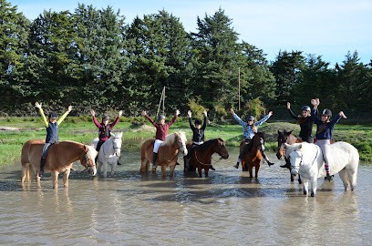 Equestrian Center La Catherine, Centre Equestres à Saumane-de-Vaucluse