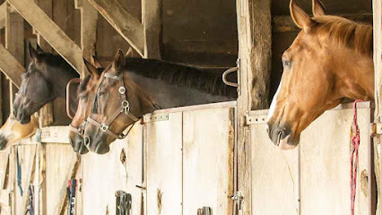 Govers De Roo Nancy Nee De Roo, Pension Pour Chevaux à Lathus-Saint-Rémy