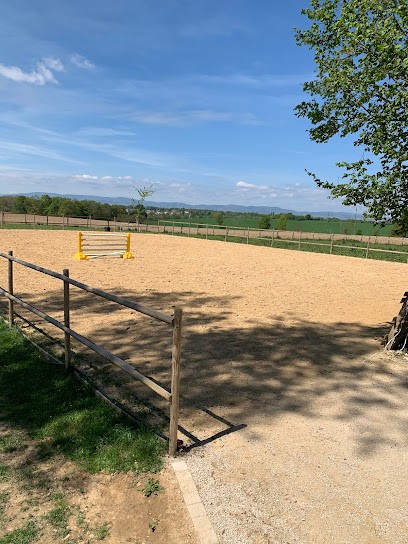Pattes, sabots & Co - Pension pour chevaux, Shiatsu équin, naturopathie animale, Pension pour Chevaux à Saint-André-d'Huiriat